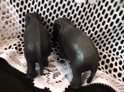schleich elephants moose bk